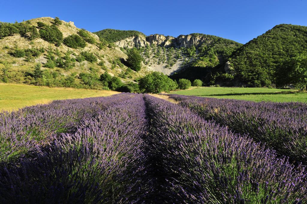 فندق Vvf Drome Provence مونتبرو - ليس بينز المظهر الخارجي الصورة