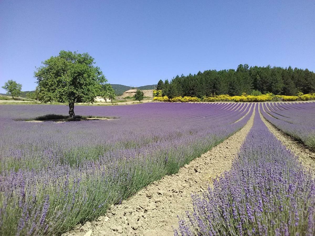 فندق Vvf Drome Provence مونتبرو - ليس بينز المظهر الخارجي الصورة